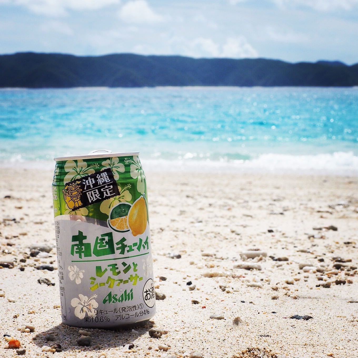 2015 日本 沖繩 座間味離島遊 旅行途中 - 一口冒險 Bitesized Adventure
