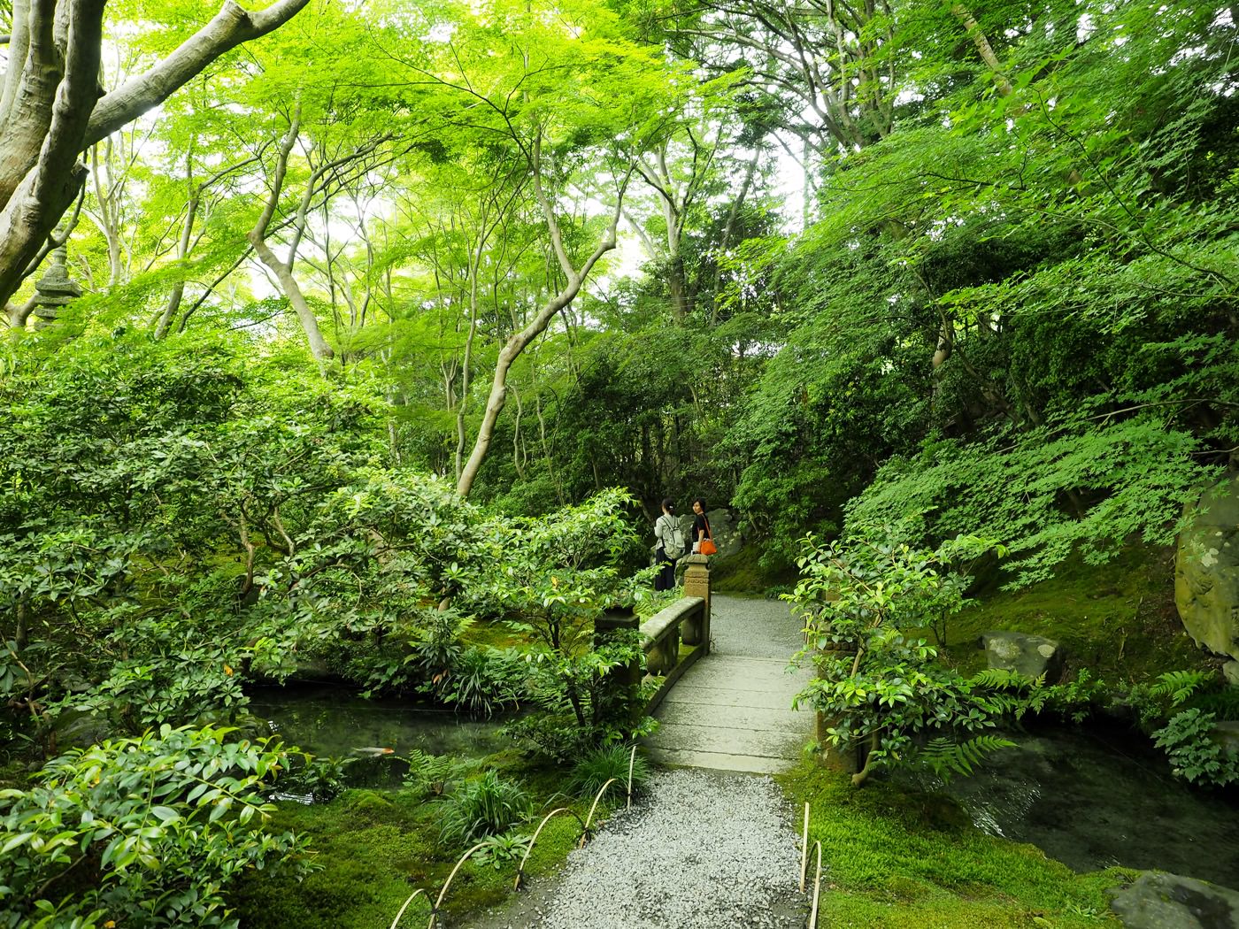 京都景點 琉璃光院 春季新綠特別拜觀 - 一口冒險 Bitesized Adventure