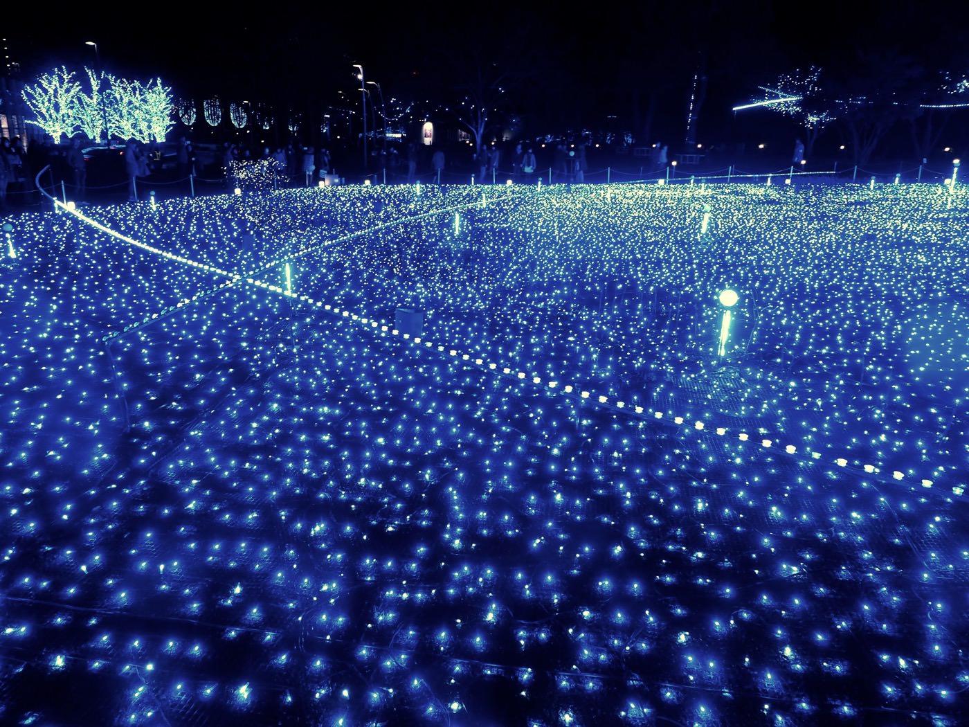 東京景點 聖誕燈飾 Tokyo Midtown 芝生廣場 - 一口冒險 Bitesized Adventure