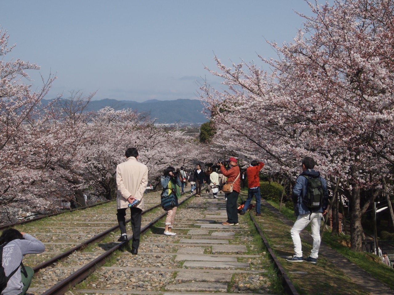 京都景點 南禪寺與櫻盛開的蹴上鐵道 - 一口冒險 Bitesized Adventure