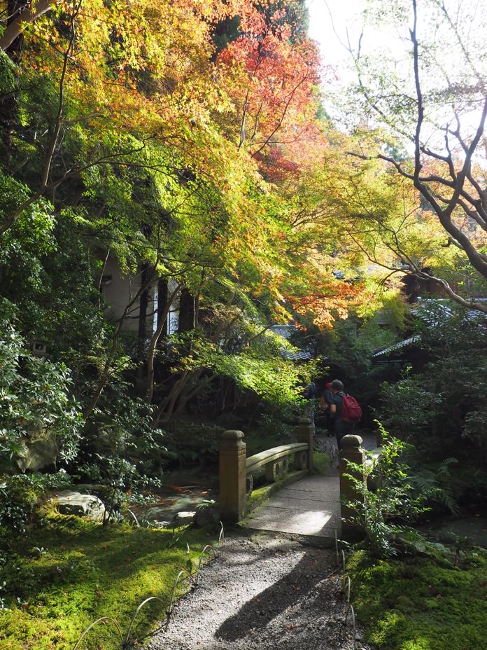 京都景點 琉璃光院 秋季紅葉特別拜觀 - 一口冒險 Bitesized Adventure