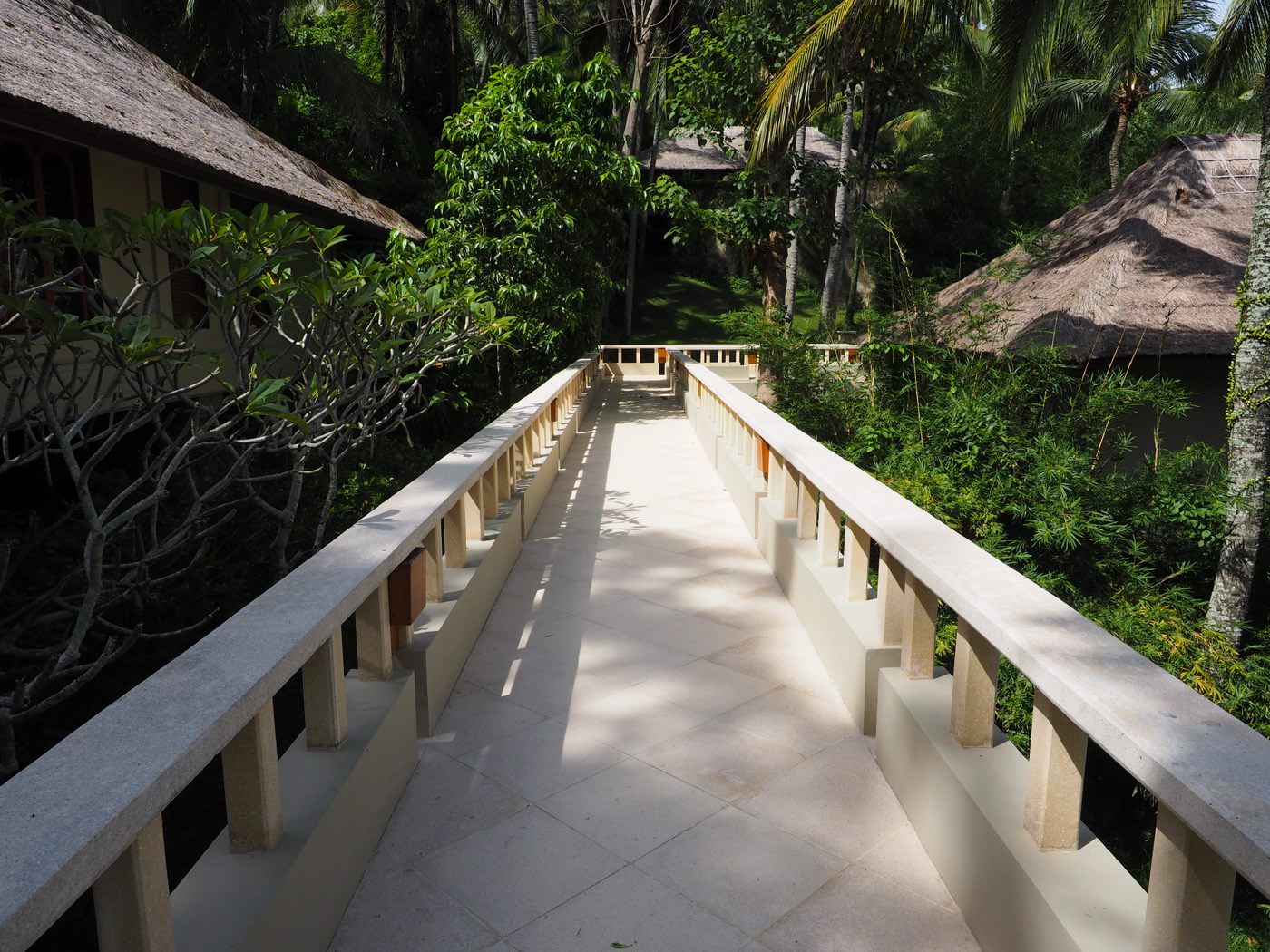 峇里島住宿 Amankila 三層泳池與椰林泳池 走在RPG場景之中 - 一口冒險 Bitesized Adventure