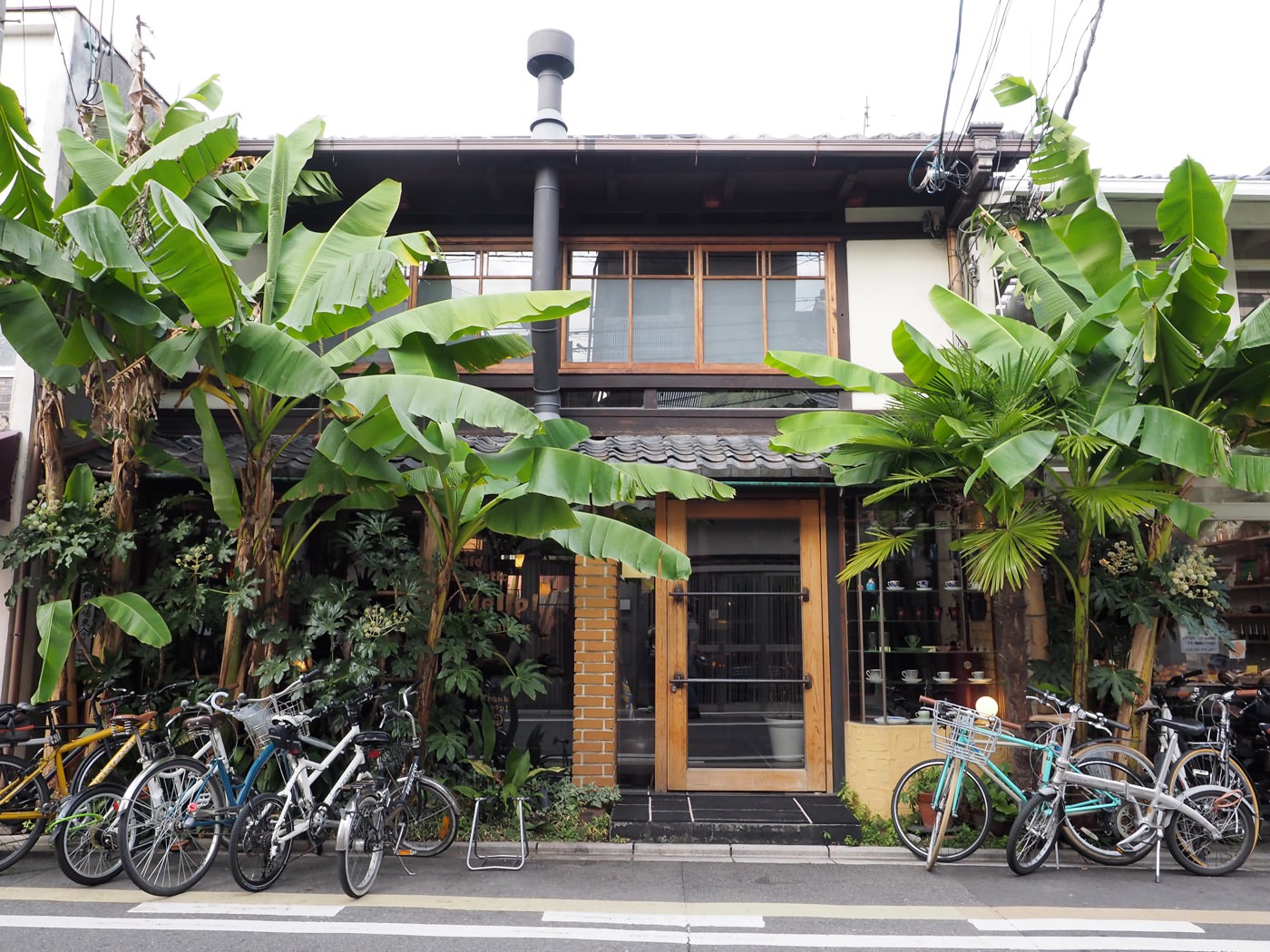 京都美食 Cafe Bibliotic Hello! 熱帶風情文藝氣息咖啡館 - 一口冒險 Bitesized Adventure
