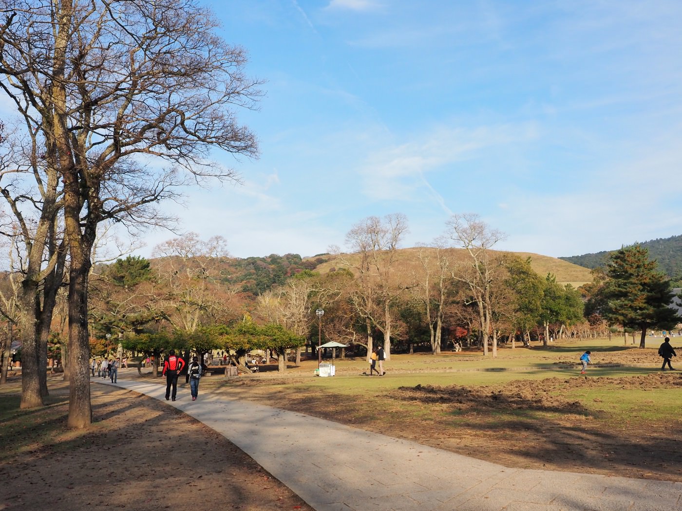 奈良景點 賞楓景點推薦 東大寺世界文化遺產、奈良公園紅葉與鹿 - 一口冒險 Bitesized Adventure