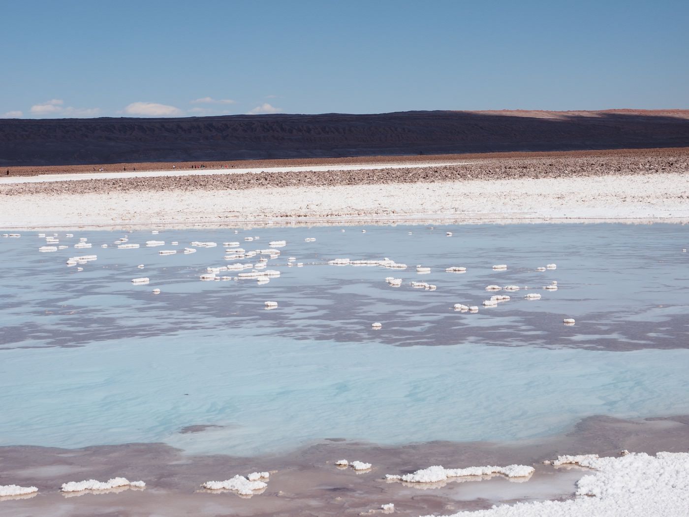 阿塔卡馬景點 Hidden Lagoon 鹽漠中的絕美藍色潟湖 Atacama 沙漠最推薦行程之一 - 一口冒險 Bitesized Adventure