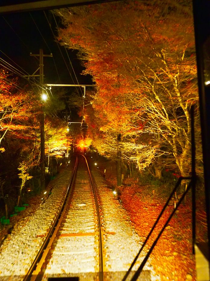 京都景點 夜楓 叡山電鐵楓葉季點燈 夜楓隧道 - 一口冒險 Bitesized Adventure