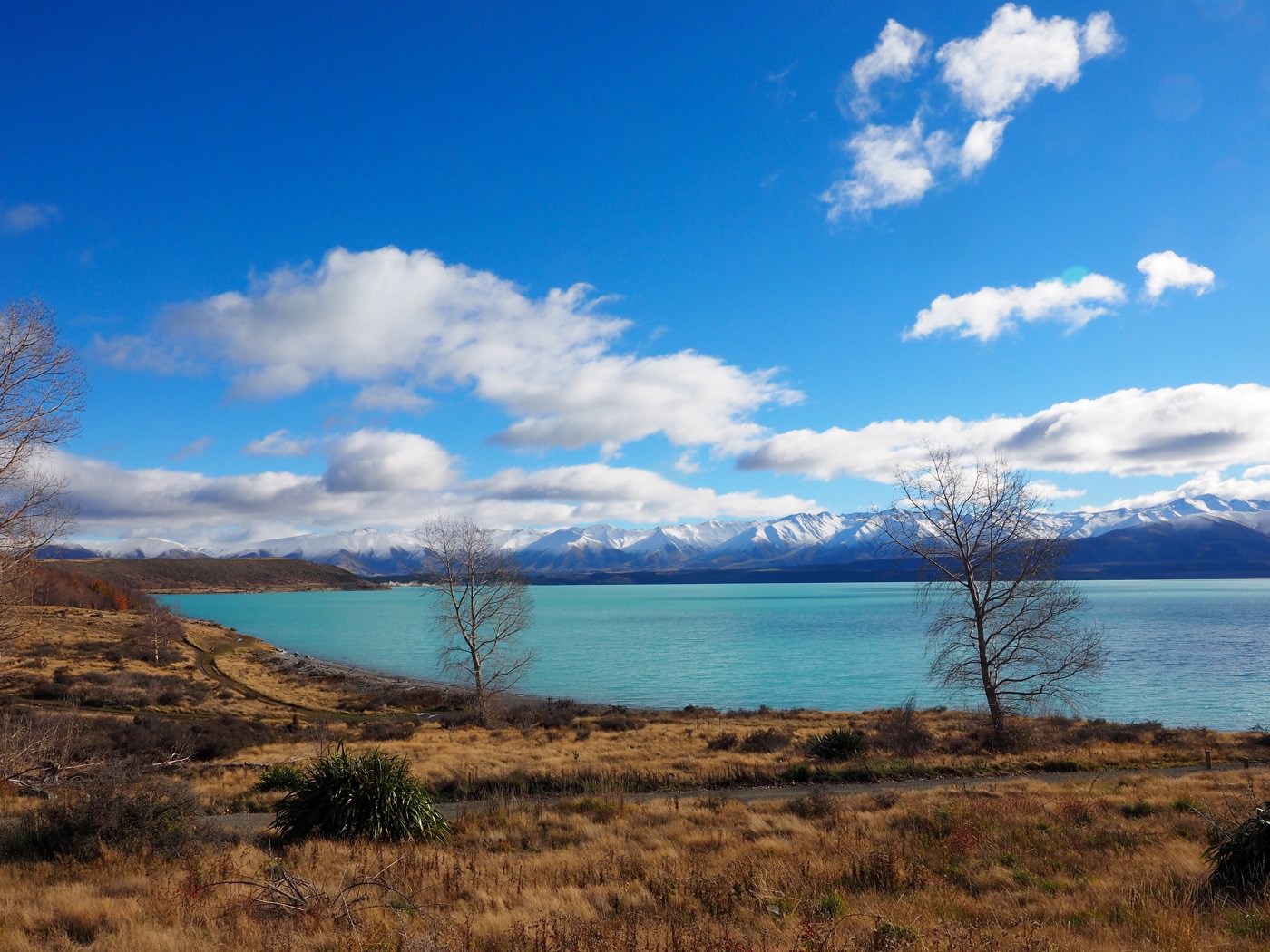 紐西蘭南島公路旅行 （二）蒂卡波湖經普卡基湖到庫克山 Lake Tekapo - Lake Pukaki - Mt. Cook - 一口冒險 Bitesized Adventure