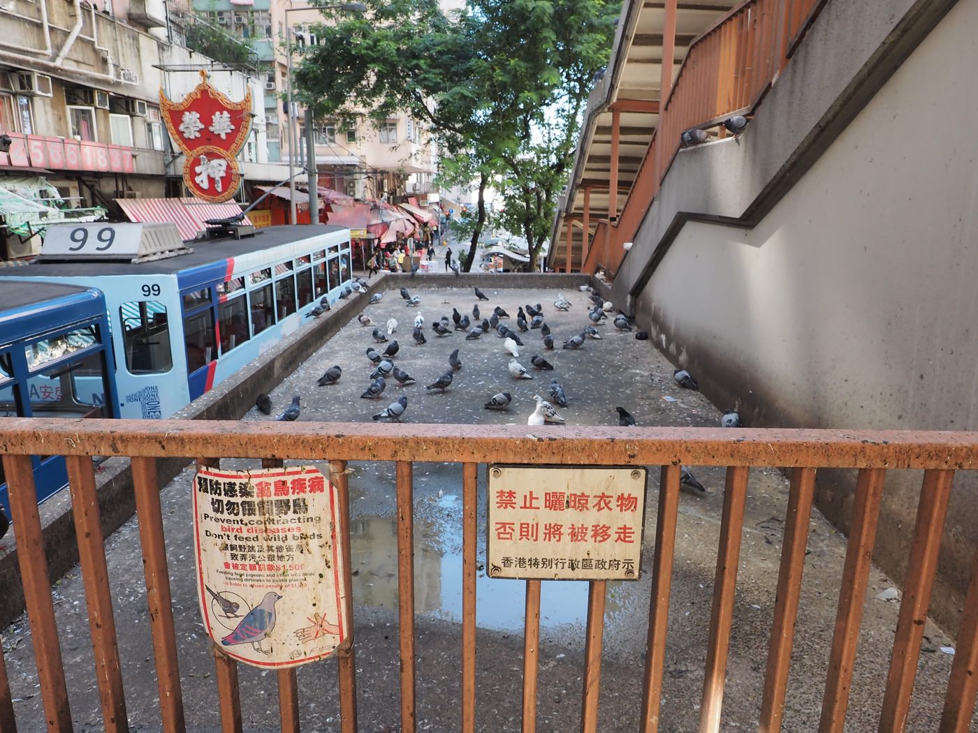 香港景點 北角 春秧街 叮叮車穿越傳統市場 - 一口冒險 Bitesized Adventure