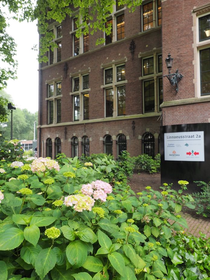 阿姆斯特丹景點 Tropenmuseum 熱帶博物館 Rhythm & Roots 音樂歷史特展 - 一口冒險 Bitesized Adventure