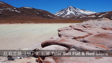 阿塔卡馬景點 紅石之路一日遊（中）高山湖與紅石灘 Talar Salt Flat & Red Stone - 一口冒險 Bitesized Adventure