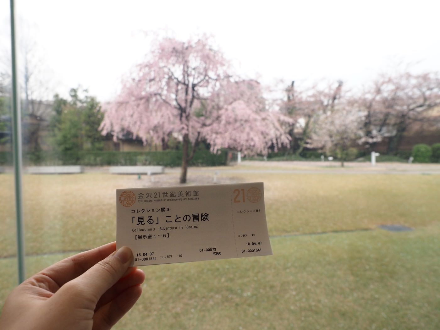 石川景點 金澤 兼六園裡的櫻花雨、再訪21世紀美術館 - 一口冒險 Bitesized Adventure
