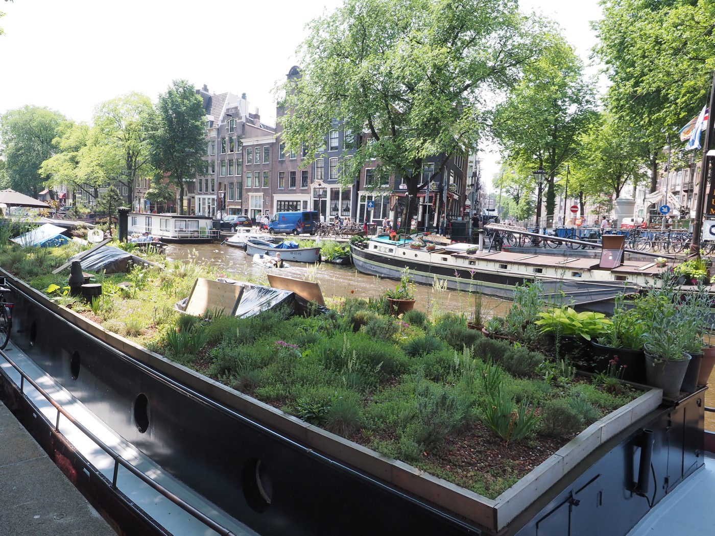 阿姆斯特丹活動 單車城市 騎腳踏車漫遊城市 - 一口冒險 Bitesized Adventure