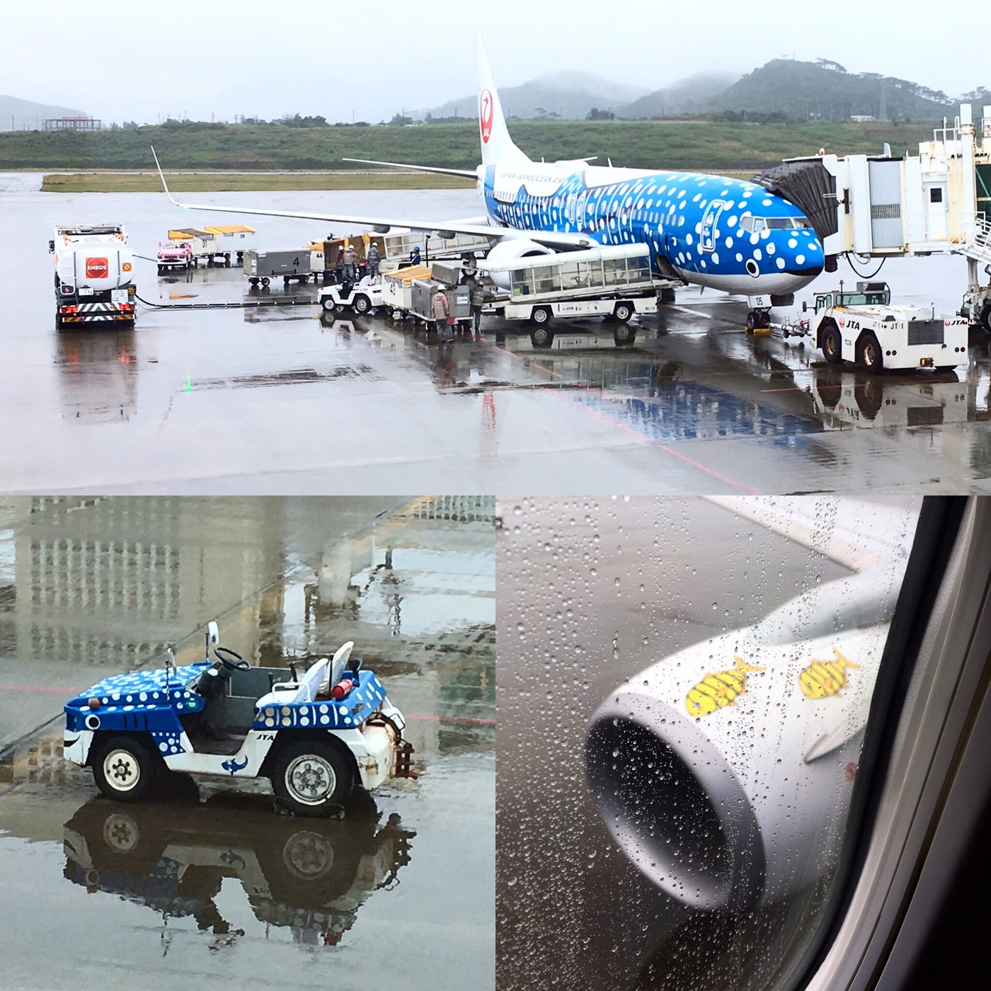 2019 日本 日航環球金 JAL JGP 保級修行（上）旅行途中 - 一口冒險 Bitesized Adventure