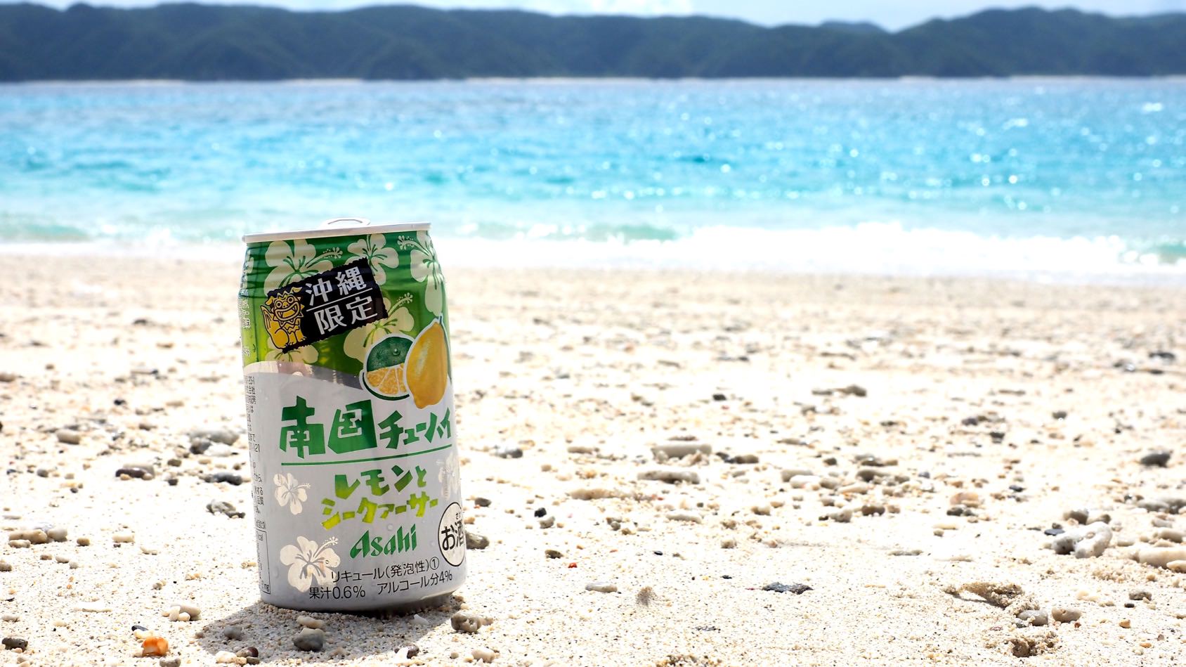 2015 日本 沖繩 座間味離島遊 行程總覽 - 一口冒險 Bitesized Adventure
