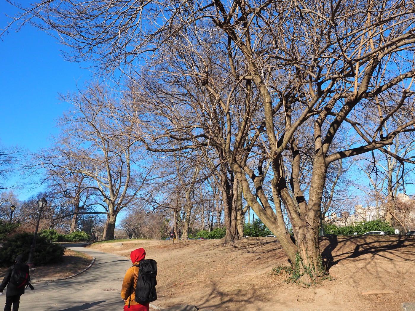 紐約景點 中央公園外帶 Luke's Lobster 與公園邊 The Plaza 的 Lady M - 一口冒險 Bitesized Adventure