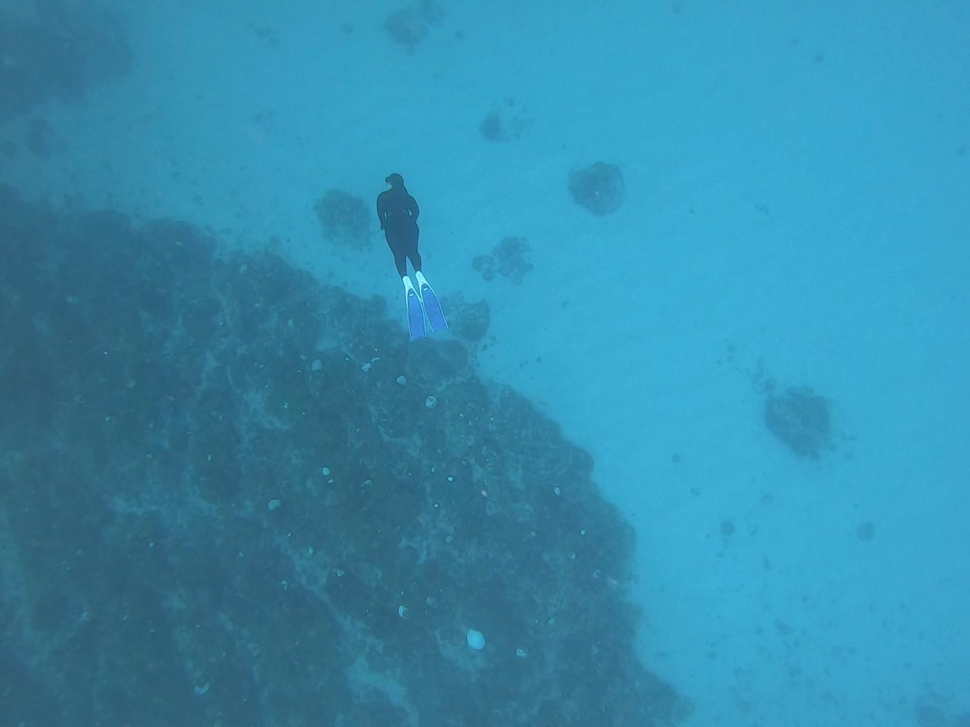小琉球行程 人生第一次潛旅 與 海裡見潛水俱樂部（上） - 一口冒險 Bitesized Adventure