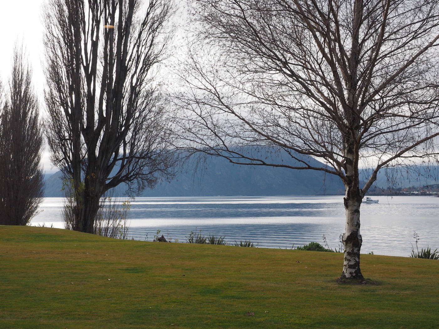紐西蘭南島住宿 Lake Wanaka 瓦納卡 推薦度假飯店 Edgewater Wanaka – 湖景單房公寓 - 一口冒險 Bitesized Adventure