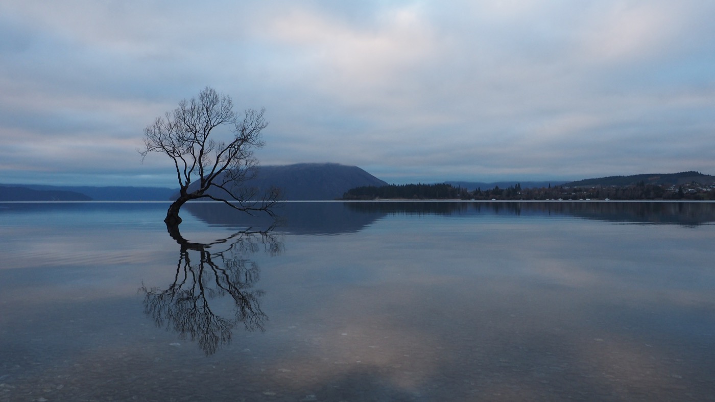 紐西蘭南島景點 Lake Wanaka 瓦納卡湖濱散步 孤獨的水中樹 - 一口冒險 Bitesized Adventure