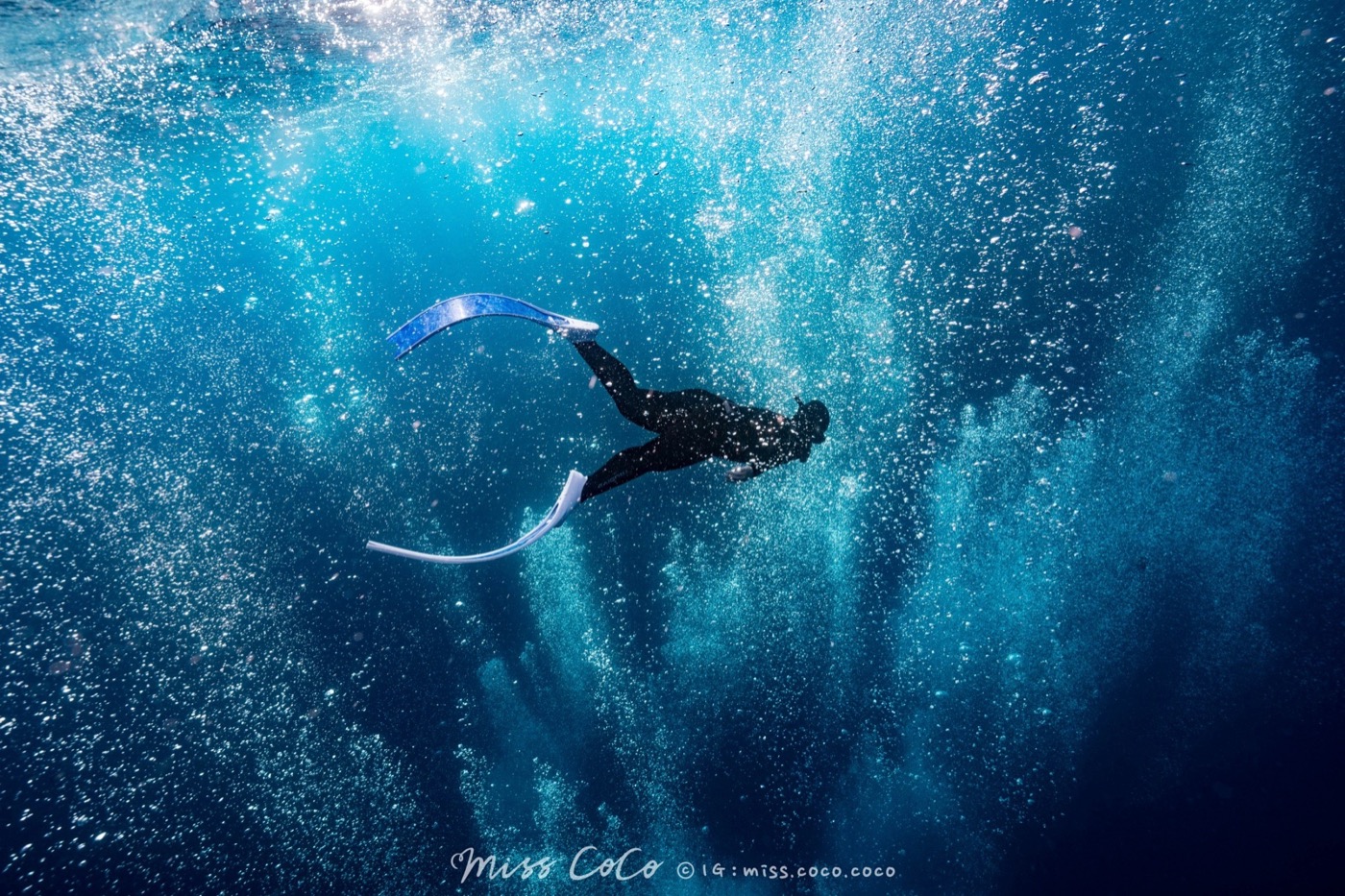 屏東活動 墾丁跨年潛旅 海裡見潛水俱樂部 x 海田潛水 - 一口冒險 Bitesized Adventure