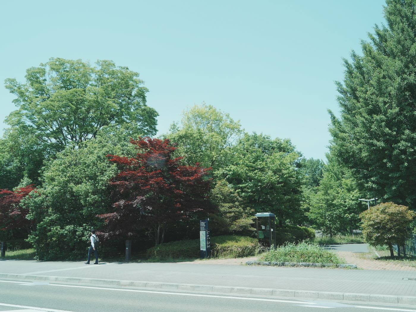 宮城景點 仙台 親子景點 三居沢交通公園騎腳踏車&定禪寺通並木 - 一口冒險 Bitesized Adventure 宮城景點 仙台 親子景點 三居沢交通公園騎腳踏車&定禪寺通並木 - 一口冒險 Bitesized Adventure