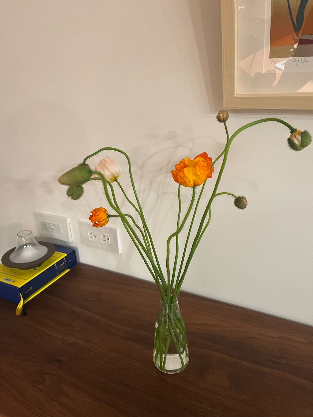 浮光記事 2025 二月 - 一口冒險 Bitesized Adventure 浮光記事 2025 二月 - 一口冒險 Bitesized Adventure