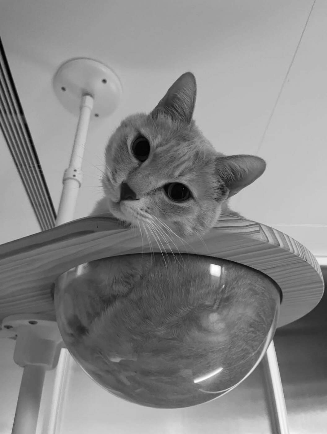 浮光記事 2025 九月 - 一口冒險 Bitesized Adventure