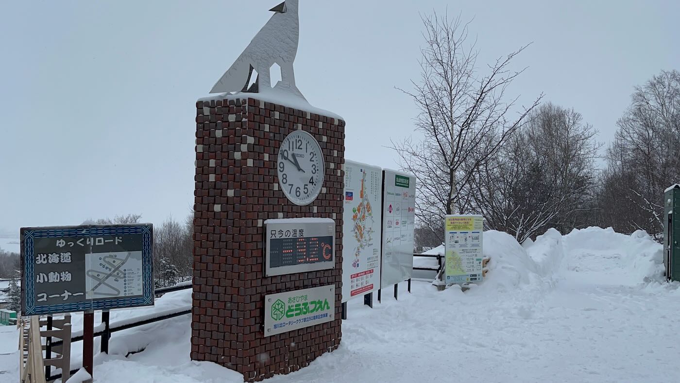 北海道景點 Klook 道央一日遊 旭山動物園企鵝散步｜白鬚瀑布｜精靈露台 - 一口冒險 Bitesized Adventure