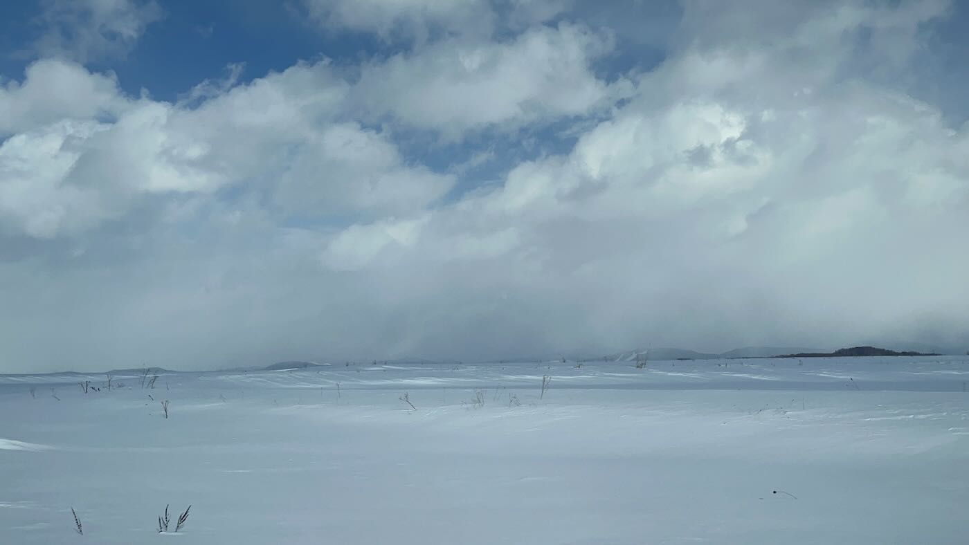 北海道景點 Klook 道央一日遊 旭山動物園企鵝散步｜白鬚瀑布｜精靈露台 - 一口冒險 Bitesized Adventure