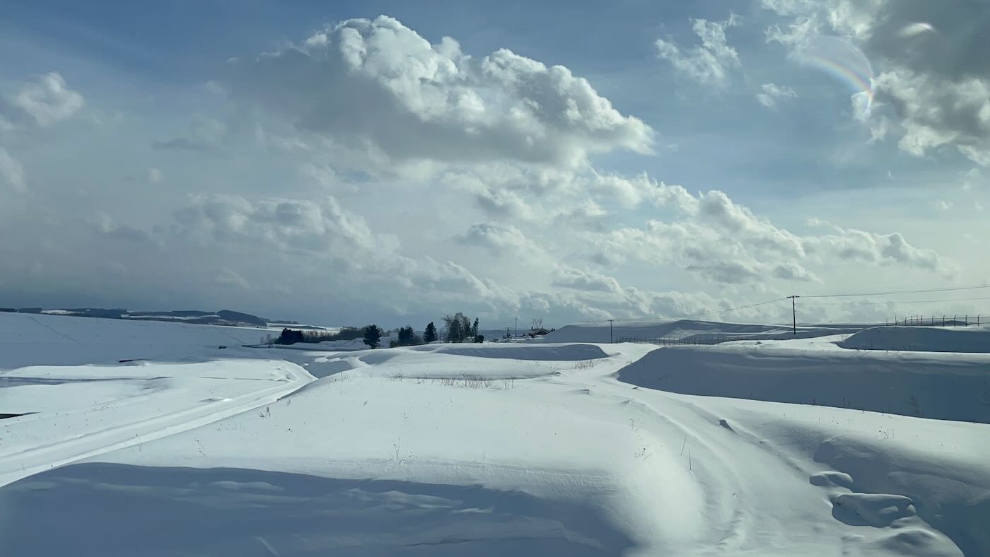 北海道景點 Klook 道央一日遊 旭山動物園企鵝散步｜白鬚瀑布｜精靈露台 - 一口冒險 Bitesized Adventure