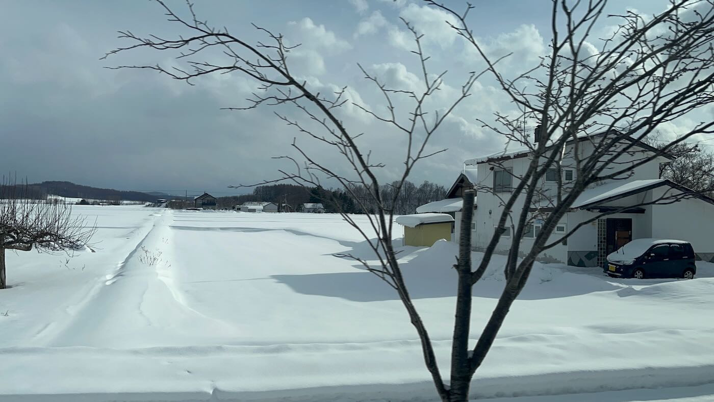 北海道景點 Klook 道央一日遊 旭山動物園企鵝散步｜白鬚瀑布｜精靈露台 - 一口冒險 Bitesized Adventure