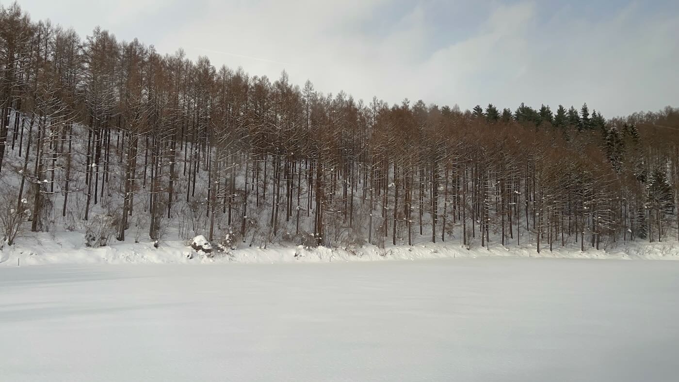 北海道景點 Klook 道央一日遊 旭山動物園企鵝散步｜白鬚瀑布｜精靈露台 - 一口冒險 Bitesized Adventure