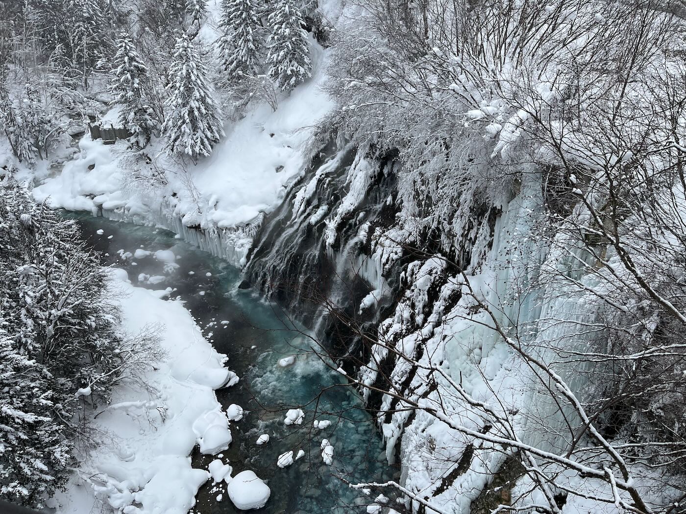 北海道景點 Klook 道央一日遊 旭山動物園企鵝散步｜白鬚瀑布｜精靈露台 - 一口冒險 Bitesized Adventure