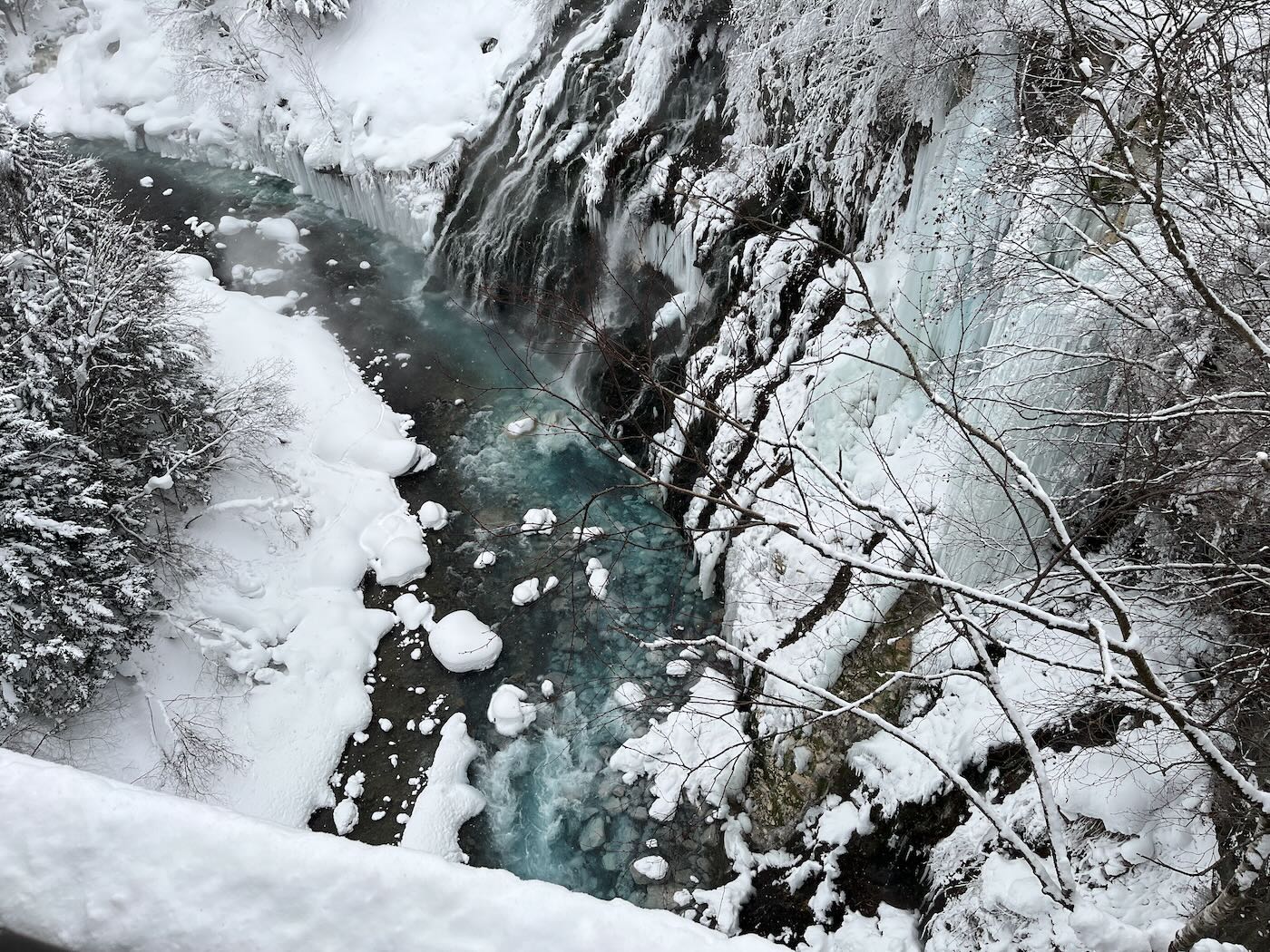北海道景點 Klook 道央一日遊 旭山動物園企鵝散步｜白鬚瀑布｜精靈露台 - 一口冒險 Bitesized Adventure