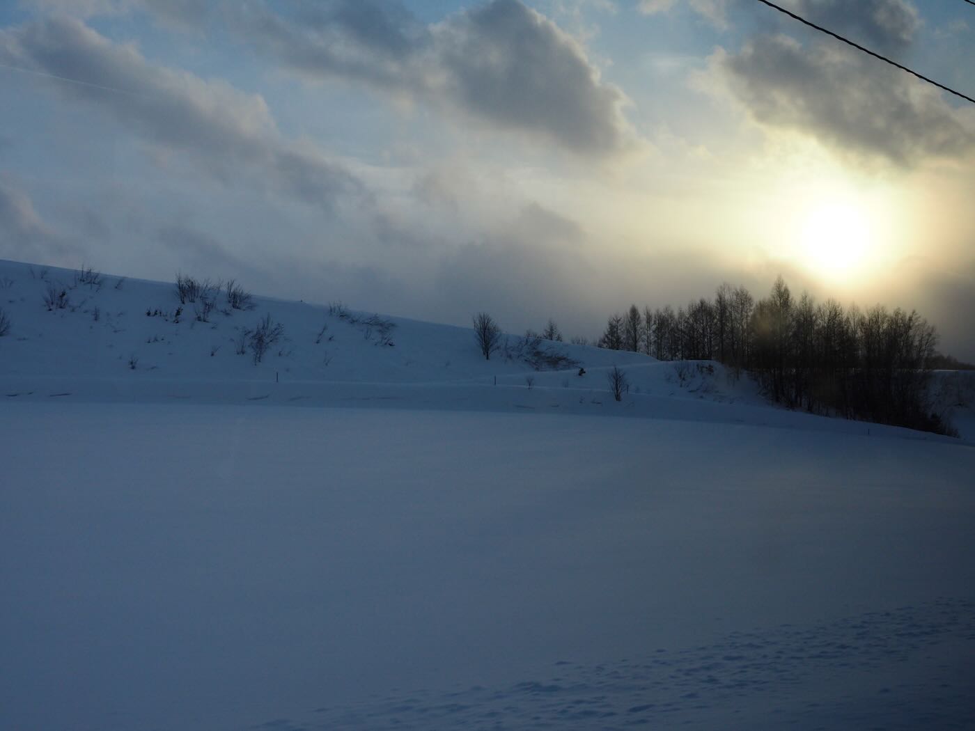 北海道景點 Klook 道央一日遊 旭山動物園企鵝散步｜白鬚瀑布｜精靈露台 - 一口冒險 Bitesized Adventure