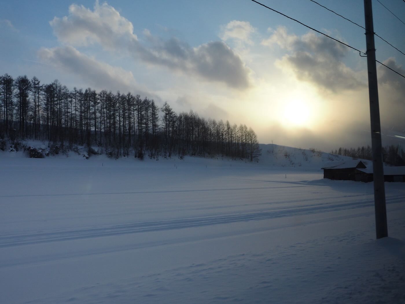 北海道景點 Klook 道央一日遊 旭山動物園企鵝散步｜白鬚瀑布｜精靈露台 - 一口冒險 Bitesized Adventure