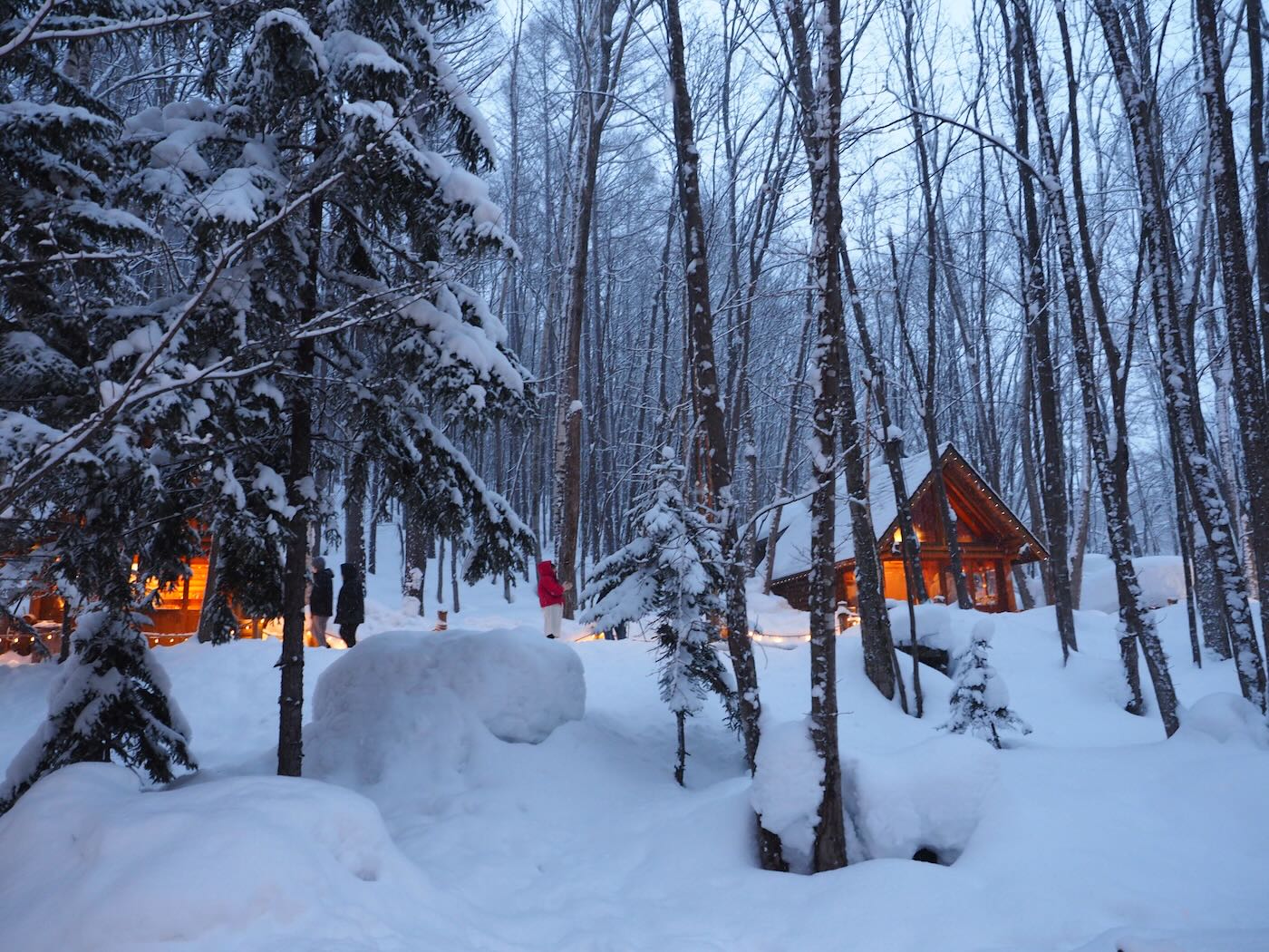 北海道景點 Klook 道央一日遊 旭山動物園企鵝散步｜白鬚瀑布｜精靈露台 - 一口冒險 Bitesized Adventure