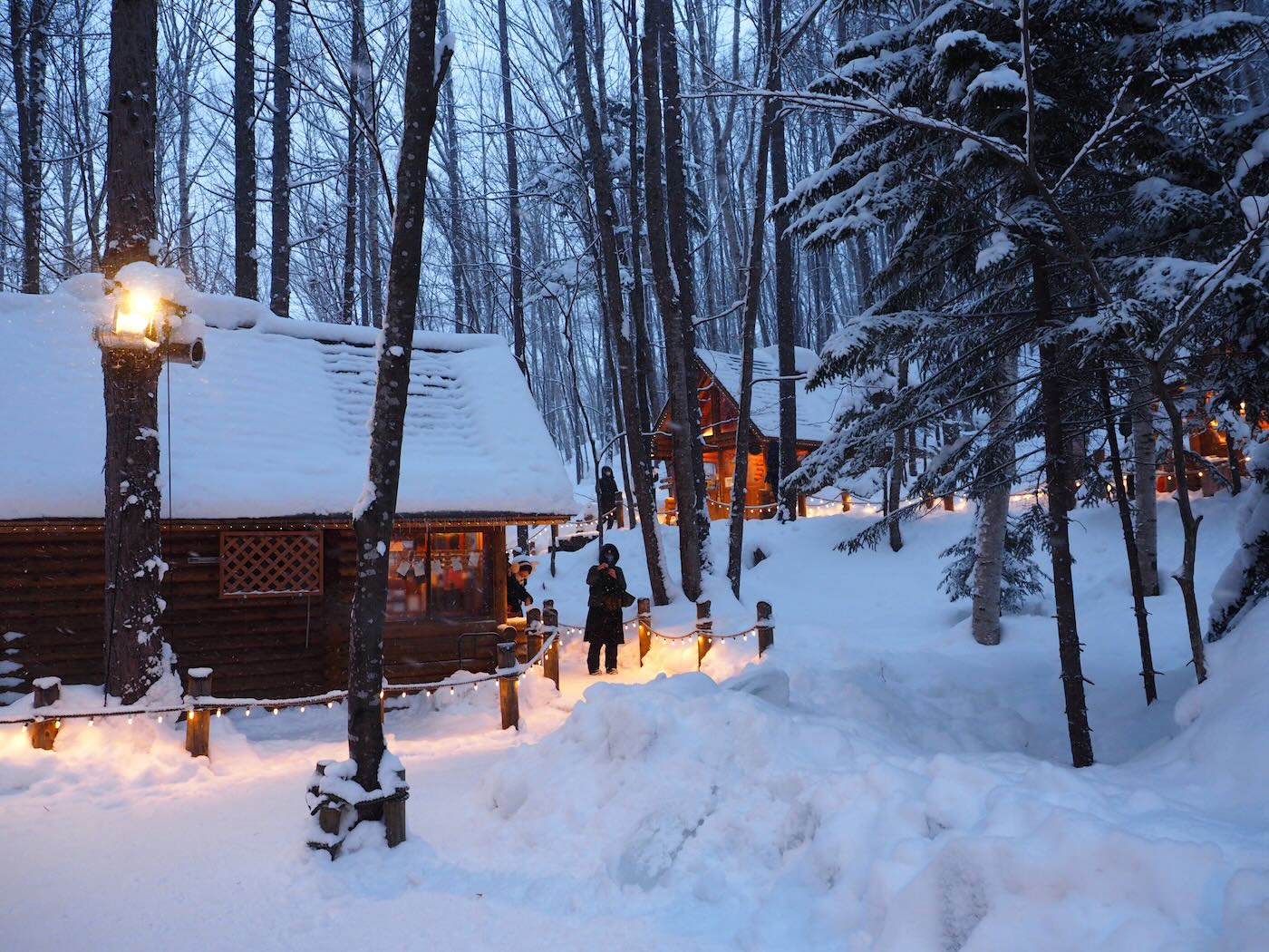 北海道景點 Klook 道央一日遊 旭山動物園企鵝散步｜白鬚瀑布｜精靈露台 - 一口冒險 Bitesized Adventure