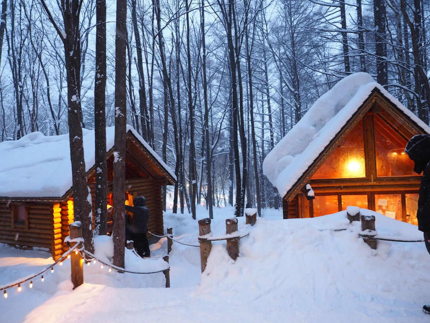 北海道景點 Klook 道央一日遊 旭山動物園企鵝散步｜白鬚瀑布｜精靈露台 - 一口冒險 Bitesized Adventure