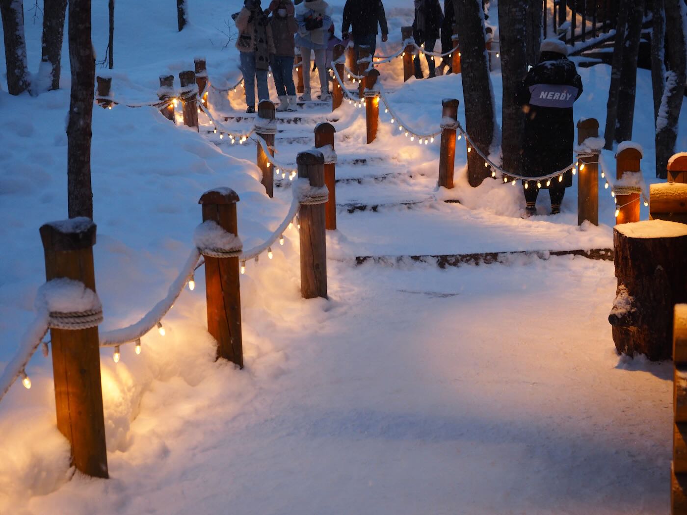 北海道景點 Klook 道央一日遊 旭山動物園企鵝散步｜白鬚瀑布｜精靈露台 - 一口冒險 Bitesized Adventure