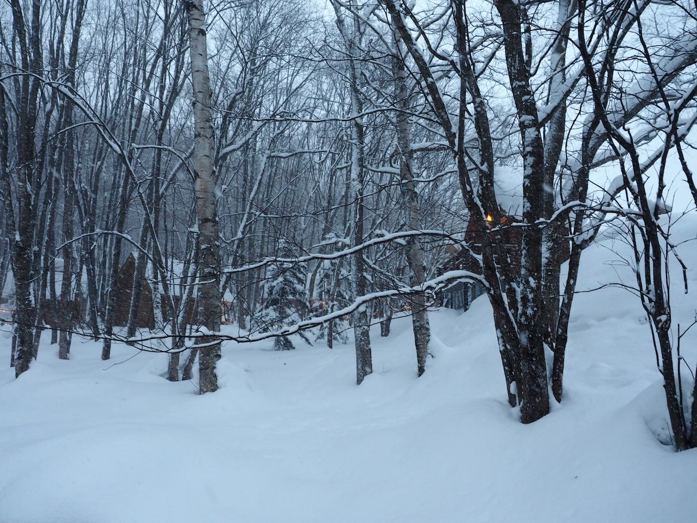 北海道景點 Klook 道央一日遊 旭山動物園企鵝散步｜白鬚瀑布｜精靈露台 - 一口冒險 Bitesized Adventure