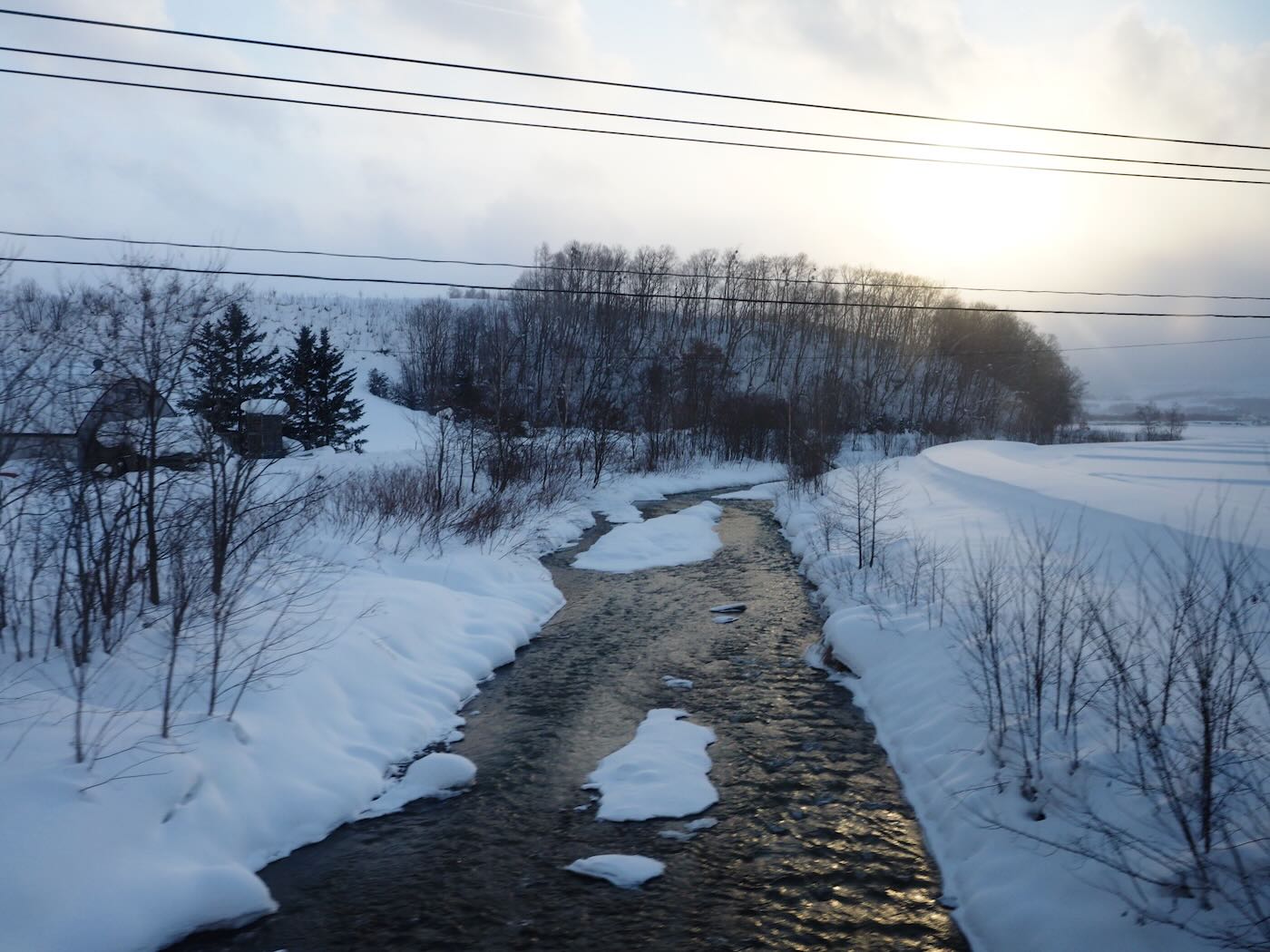 北海道景點 Klook 道央一日遊 旭山動物園企鵝散步｜白鬚瀑布｜精靈露台 - 一口冒險 Bitesized Adventure