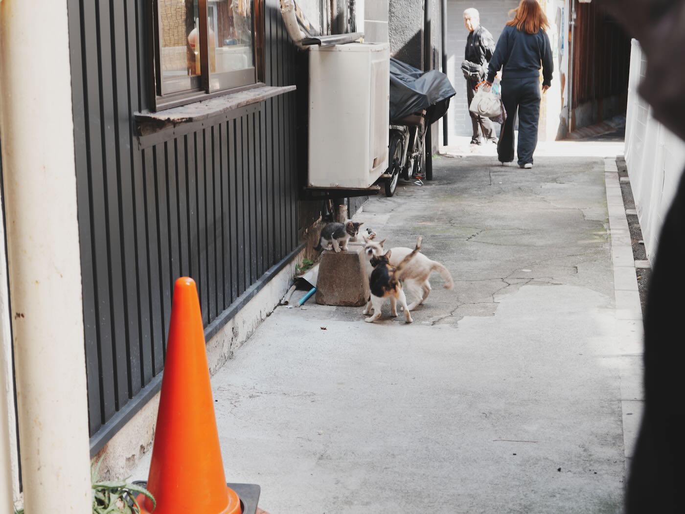 大分美食 Coffee Natsume なつめ 別府商店街美味老店三明治 - 一口冒險 Bitesized Adventure