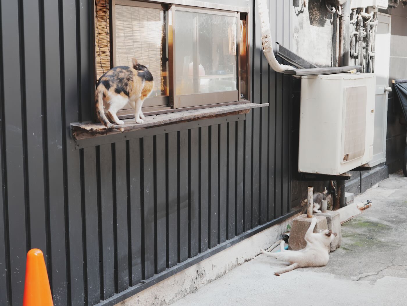 大分美食 Coffee Natsume なつめ 別府商店街美味老店三明治 - 一口冒險 Bitesized Adventure