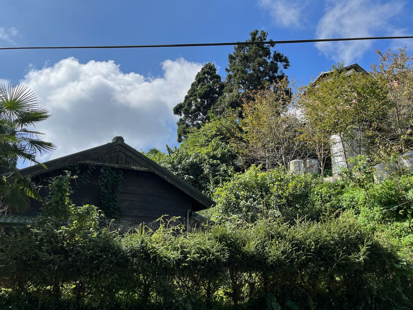 嘉縣住宿 阿里山鄉 十字鳴心旅宿 迷霧四人房 - 一口冒險 Bitesized Adventure