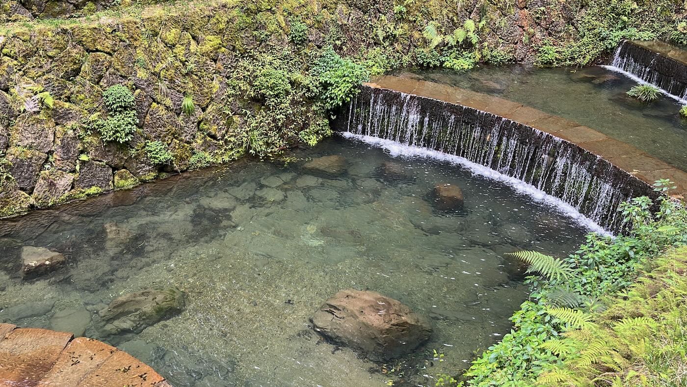 嘉縣住宿 阿里山鄉 十字鳴心旅宿 迷霧四人房 - 一口冒險 Bitesized Adventure