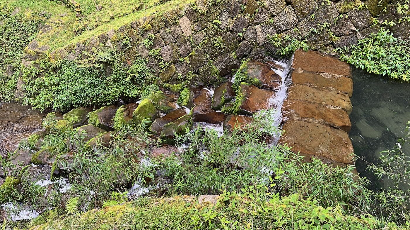 嘉縣住宿 阿里山鄉 十字鳴心旅宿 迷霧四人房 - 一口冒險 Bitesized Adventure