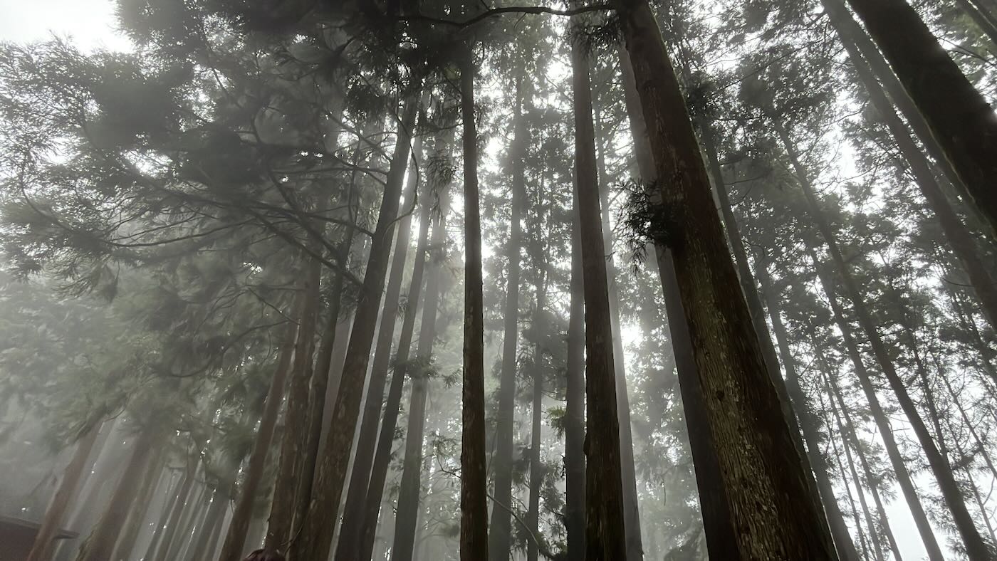 嘉縣住宿 阿里山鄉 十字鳴心旅宿 迷霧四人房 - 一口冒險 Bitesized Adventure