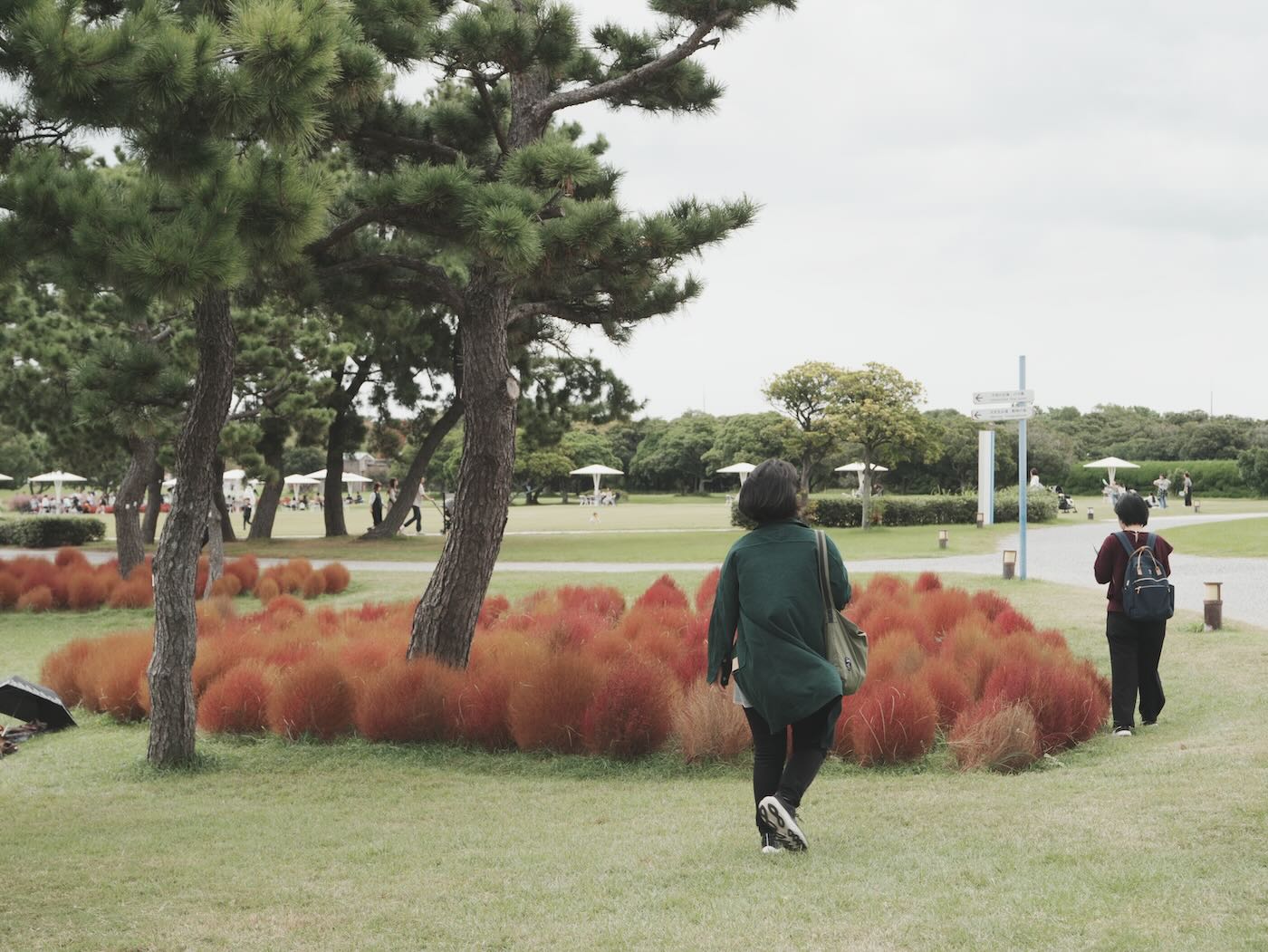 福岡景點 海之中道騎腳踏車 Play Cafe 午餐 - 一口冒險 Bitesized Adventure