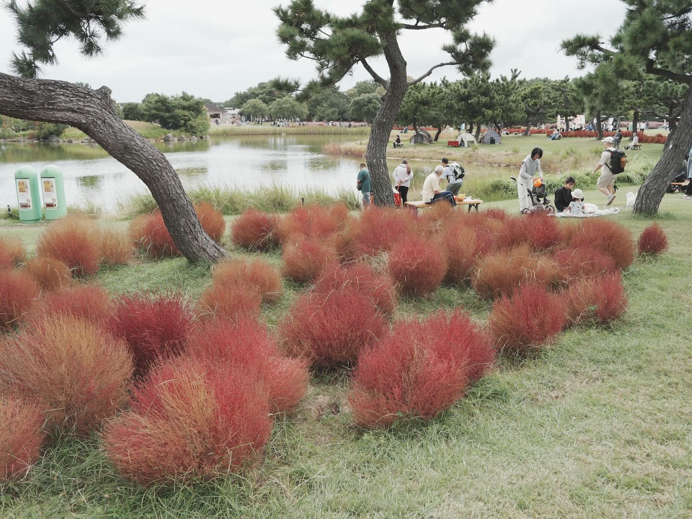 福岡景點 海之中道騎腳踏車 Play Cafe 午餐 - 一口冒險 Bitesized Adventure