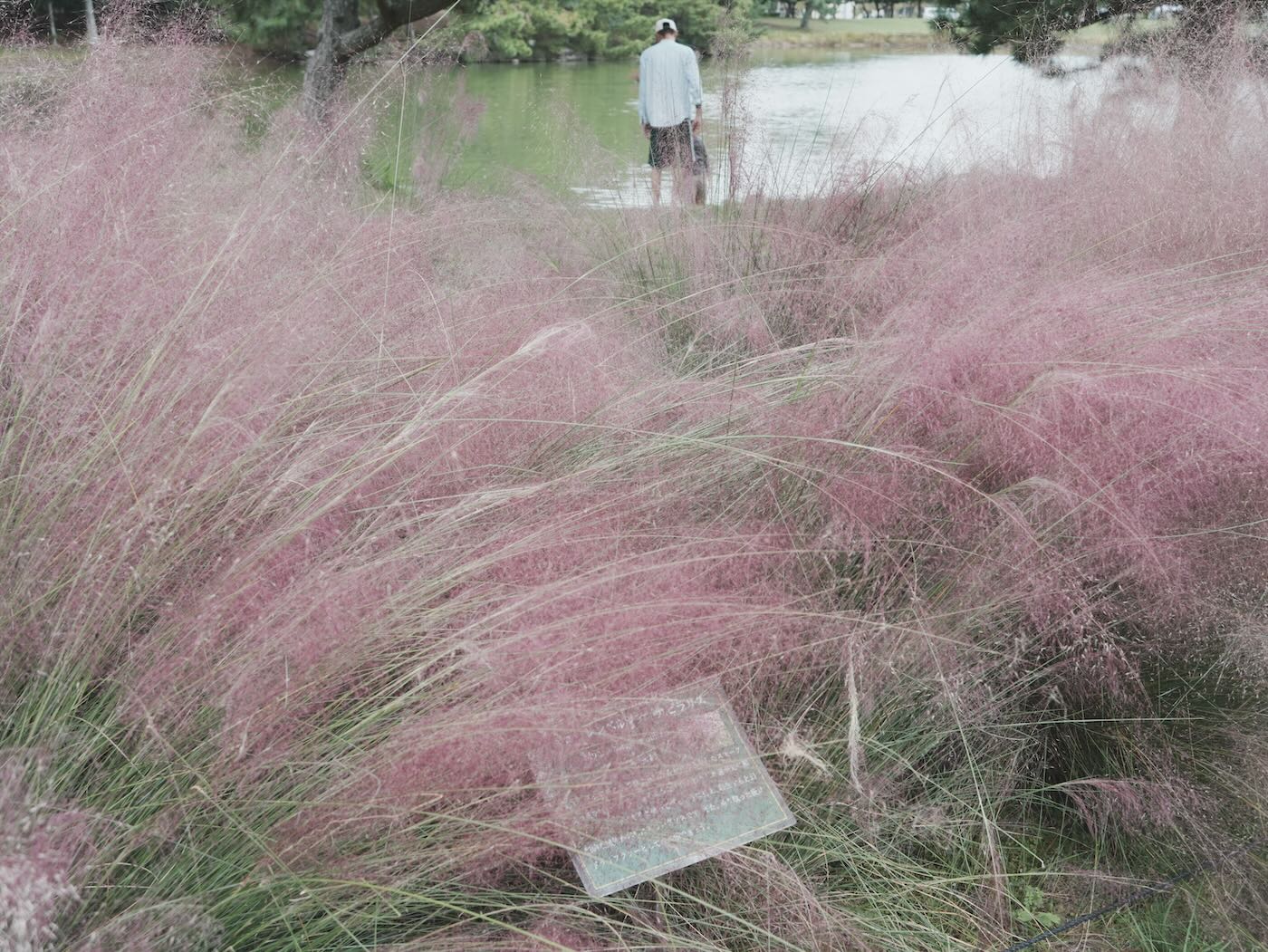 福岡景點 海之中道騎腳踏車 Play Cafe 午餐 - 一口冒險 Bitesized Adventure